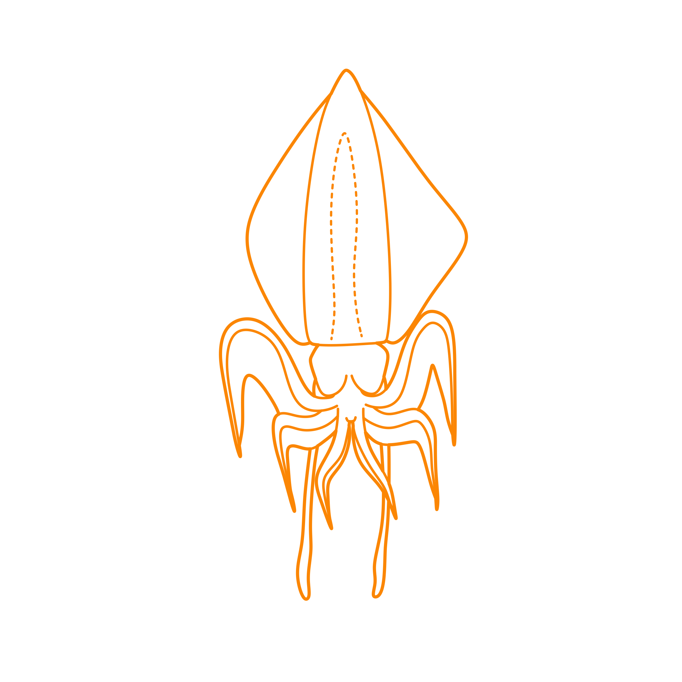 Animals Cephalopods Diamond Squid Sketch Drawing Svg Free Vectors